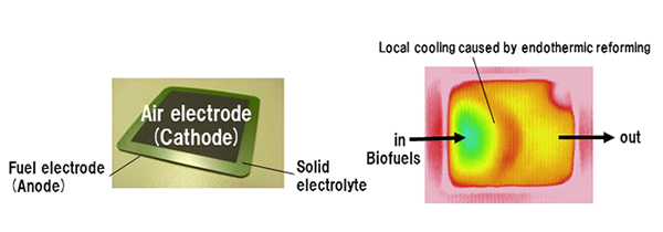 Fig: Anode-supported SOFC and in-situ temperature measurements using hydrocarbon fuel at the anode.