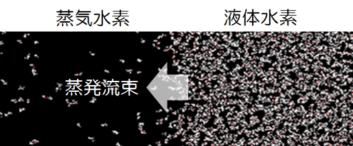 ミクロ2